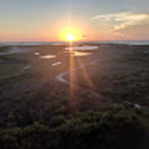 Meet your Posher, Ann - Picture 1 of 1